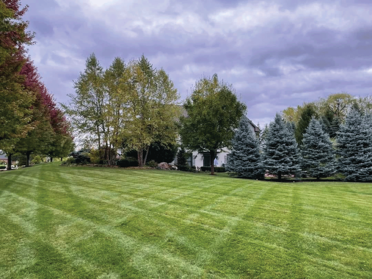 Divine View Landscape - Residential Lawn Service