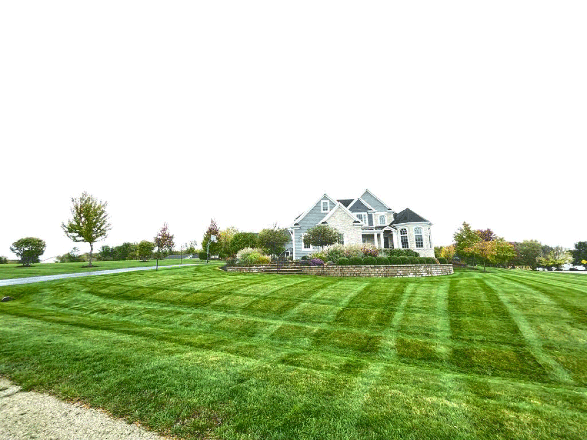 Divine View Landscaping - Lawn Maintenance - 4